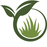 Oleander Plant Pruning Pros
