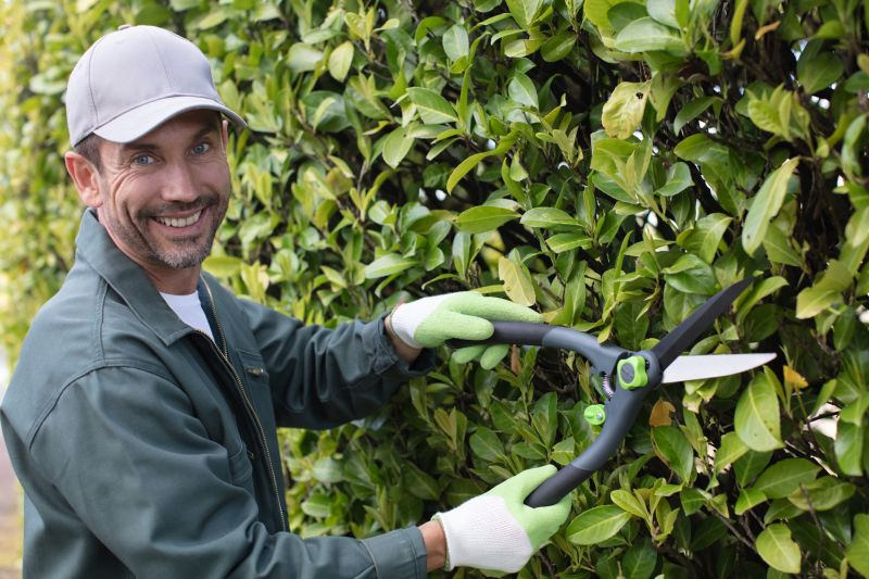 Oleander Plant Pruning